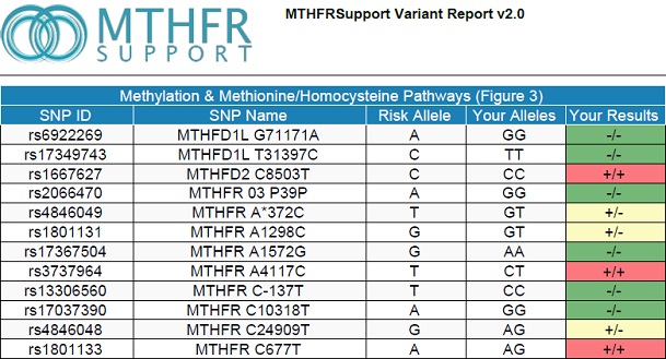 MTHFR, methylation testing