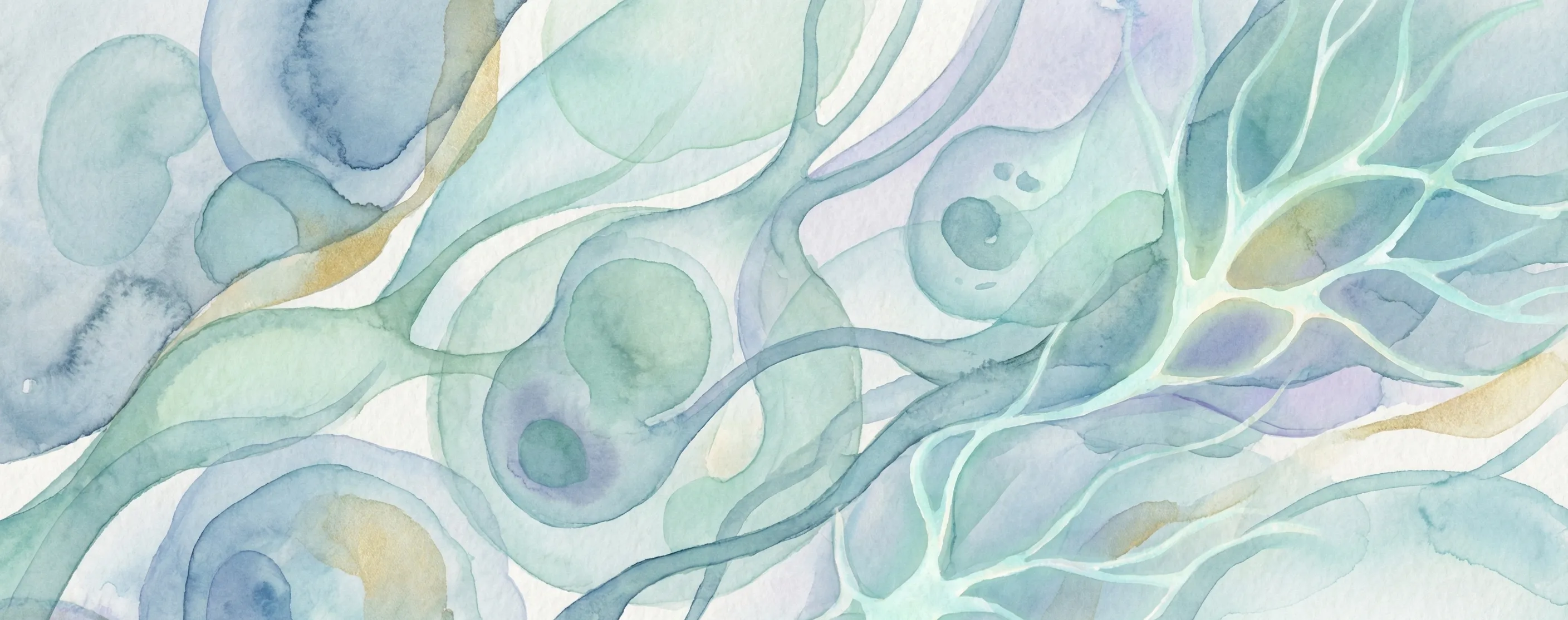 Autoimmune Conditions: A Naturopathic Perspective