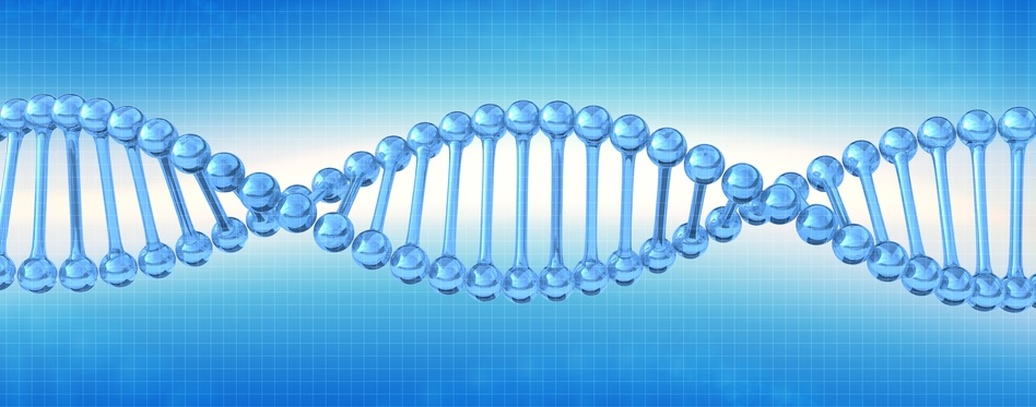 DNA, Methylation